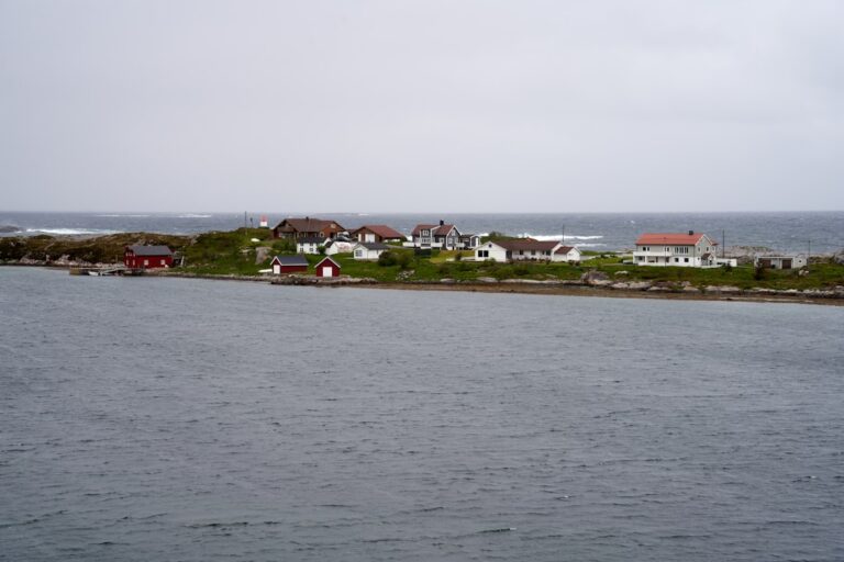 Photo ajurwedyjskie