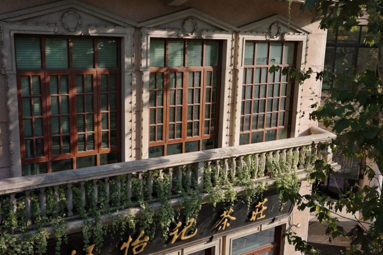 Photo balcony herbs cultivation