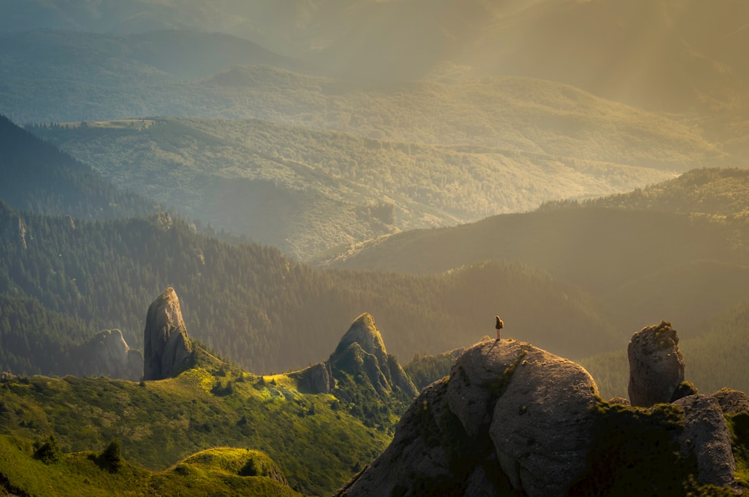 Photo Jadalne algi